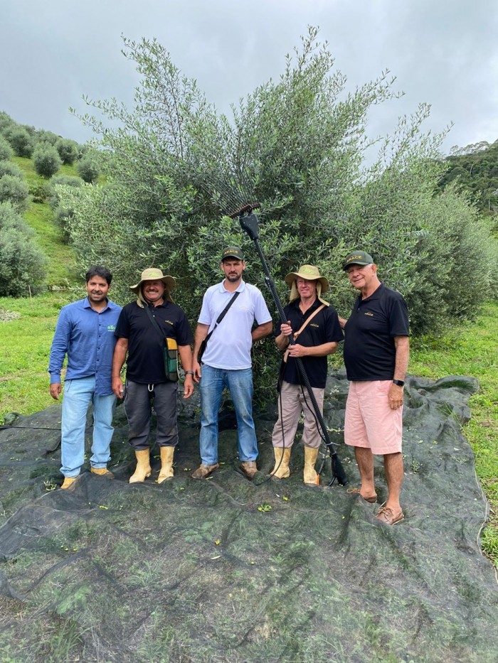 Culturas entrantes no Espírito Santo são novas fontes de renda e diversificam produção agrícola