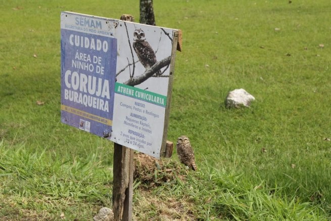 Foto: Reprodução/Prefeitura de São Sebastião - SP