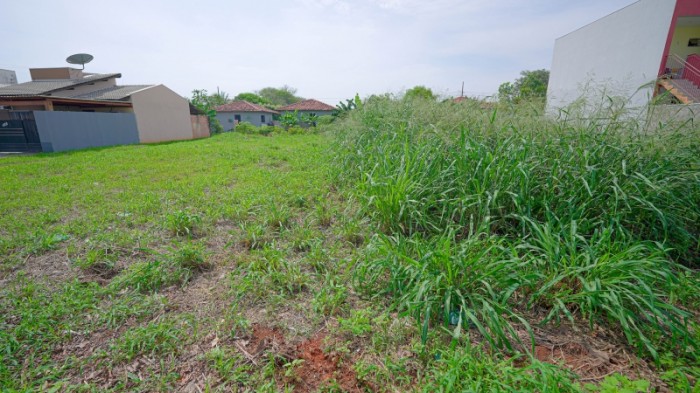 (Foto: Ascom Prefeitura/Anderson Lippi)