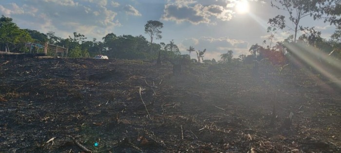 PMAM prende homem por crime ambiental no Tarumã-Açu