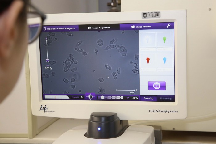 Foto: Jaelson Lucas/Arquivo AEN