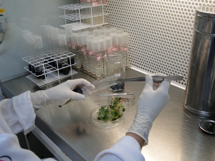 Fapemig / Divulgação