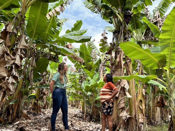 Produtora de Sobradinho transforma a vida com apoio da extensão rural