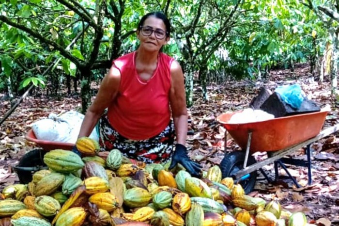 Crédito: Divulgação