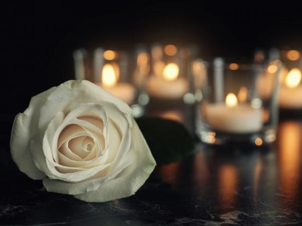 Foto: Reprodução/Prefeitura de Sorriso - MT