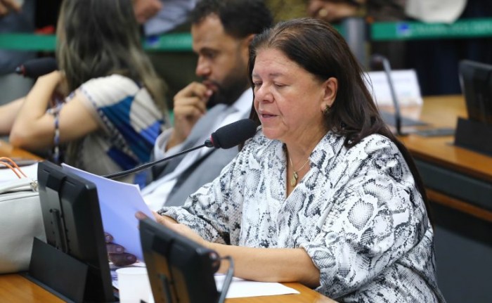 Laura Carneiro é a autora do requerimento para a realização da audiência - (Foto: Vinicius Loures/Câmara dos Deputados)