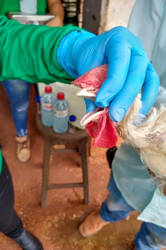 Crédito: Divulgação