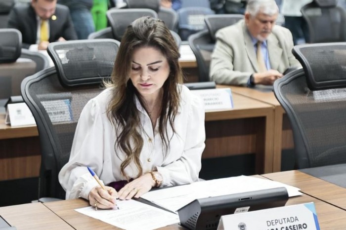 Mara Caseiro apresenta diversos pedidos em benefício de Dois Irmãos do Buriti