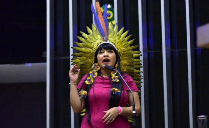 A autora do projeto, deputada Célia Xakriabá - (Foto: Zeca Ribeiro / Câmara dos Deputados)