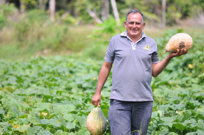 Secretaria de Educação disponibiliza edital para aquisição de gêneros alimentícios da Agricultura Familiar 