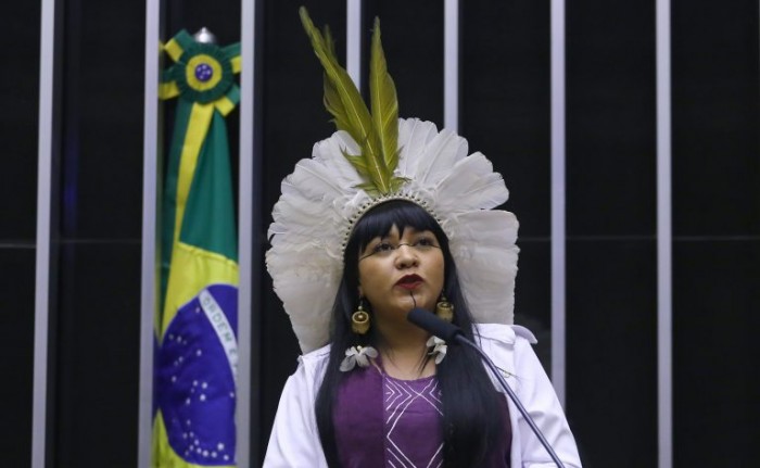 Célia Xakriabá integra a Comissão da Amazônia - (Foto: Vinicius Loures / Câmara dos Deputados)