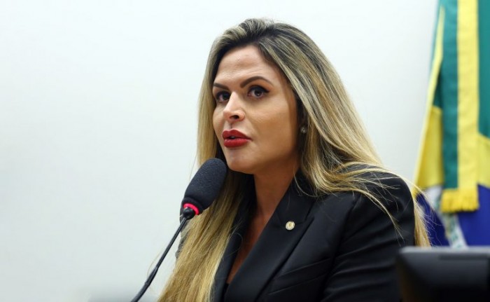 Silvye Alves: ideia é garantir a integridade física da mulher e de seus familiares - (Foto: Vinicius Loures/Câmara dos Deputados)