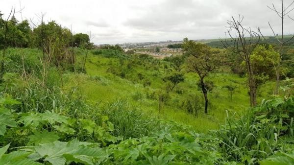 Foto: Reprodução/Câmara de Sorriso - MT