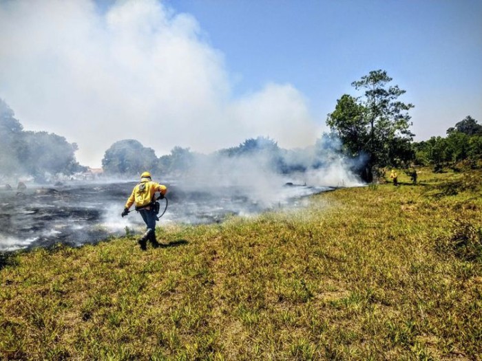 © Divulgação/ Instituto Brasília Ambiental