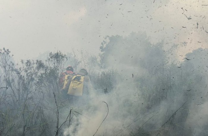 Bombeiros controlam incêndio florestal em Bonito e continuam em monitoramento na região