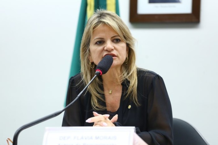 Flávia Morais relatou a proposta na Comissão de Seguridade - (Foto: Vinicius Loures/ Câmara dos Deputados)
