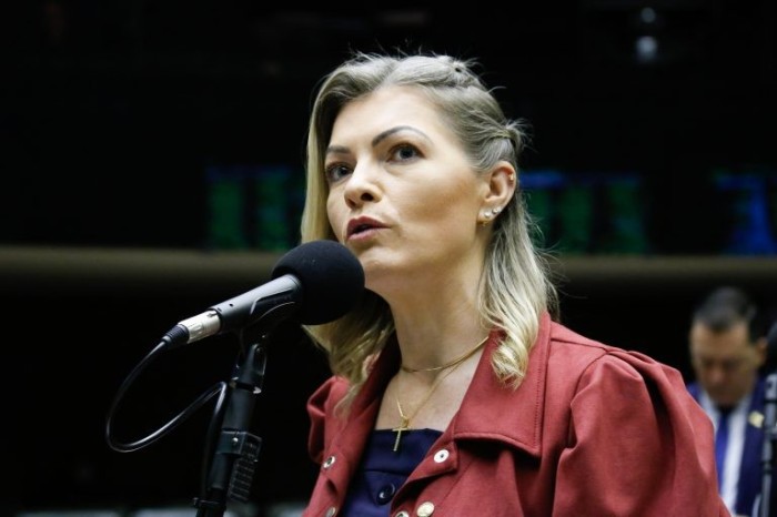 Aline Sleutjes recomendou a aprovação da proposta - (Foto: Elaine Menke/Câmara dos Deputados)
