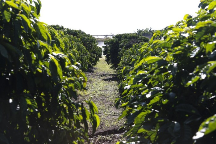 © Valter Campanato/Agência Brasil