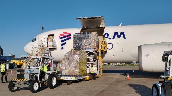 Foto: Reprodução/Câmara de Sorriso - MT