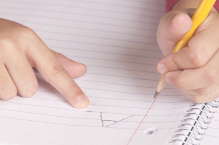 A autora do requerimento para a sessão temática, Leila Barros, considera 'preocupante' a situação da educação no Brasil - Reprodução