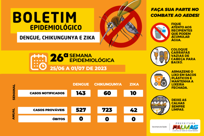 Palmas registra 143 casos suspeitos para dengue em última semana epidemiológica