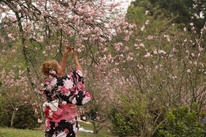 © Rovena Rosa/Agência Brasil