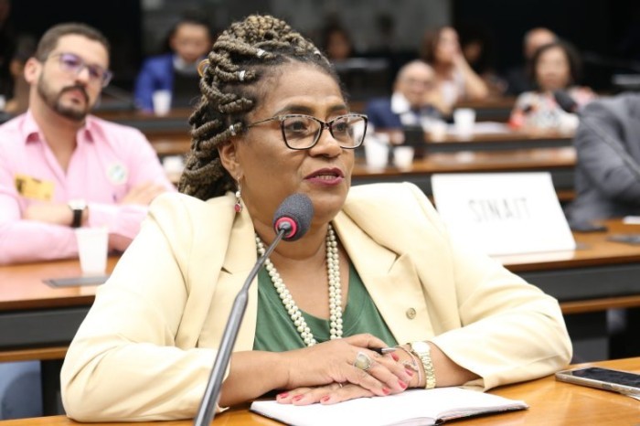 Reginete Bispo é autora de um projeto sobre desapropriação dessas áreas - (Foto: Billy Boss/Câmara dos Deputados)