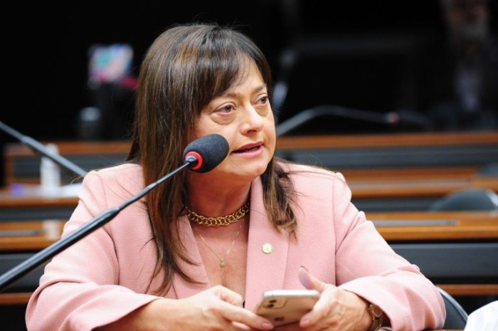 Deputada Alice Portugal, relatora do projeto - (Foto: Billy Boss/Câmara dos Deputados)