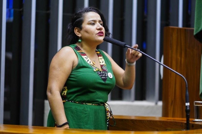 Vivi Reis recomendou a aprovação de um texto reunindo três projetos - (Foto: Pablo Valadares/Câmara dos Deputados)