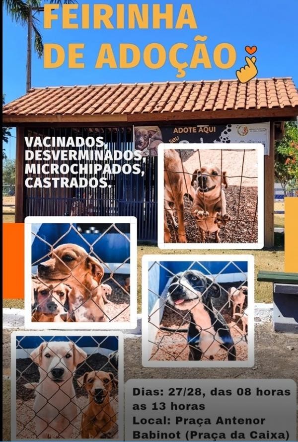 Foto: Reprodução/Prefeitura de Sorriso - MT