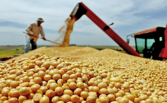 Expectativa do 5° levantamento da Conab é que a produção de soja deve se aproximar de 4 milhões de toneladas - Foto: Governo do Tocantins
