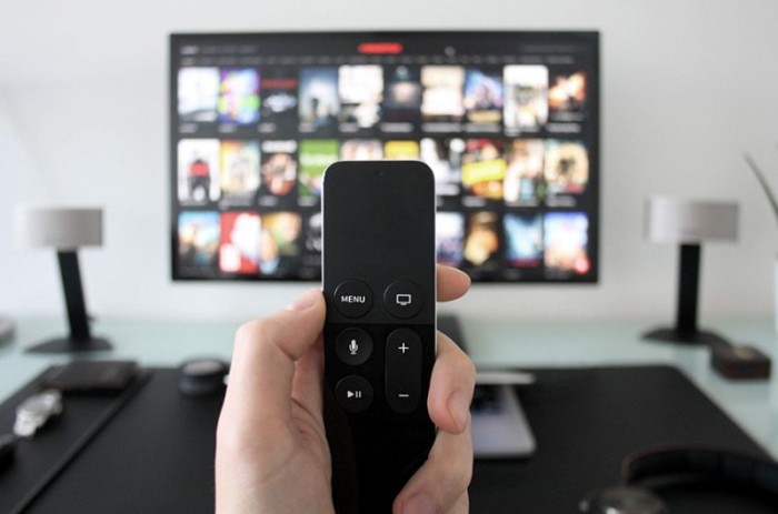 O texto aprovado na Câmara isenta as plataformas de streaming — como é o caso da Netflix — do pagamento da Contribuição para o Desenvolvimento da Indústria Cinematográfica Nacional (Condecine) - Reprodução/Portal Jurídico Estudar o Direito