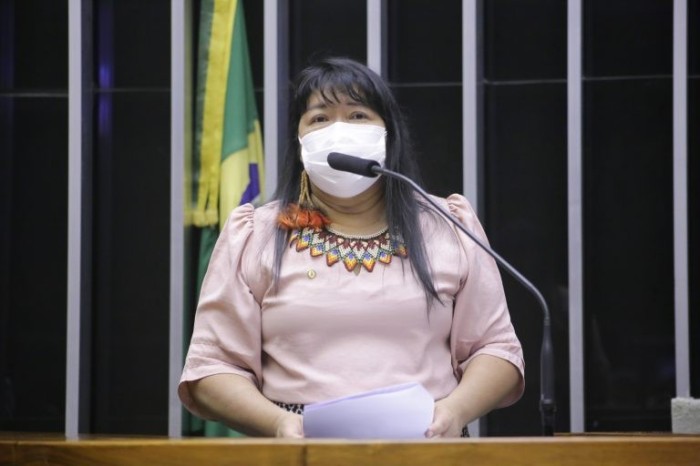 Câmara debate participação das mulheres indígenas na política nesta terça