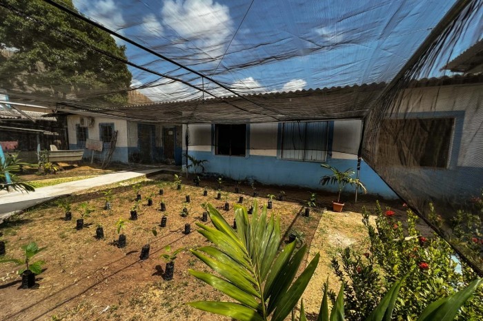 Crédito: João Vitor Santos (Ascom/Ideflor-Bio)