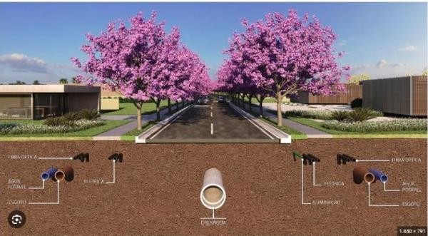 Foto: Reprodução/Câmara de Sorriso - MT