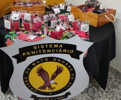 Produção de bioabsorventes em presídio de MS é alternativa sustentável para levar dignidade menstrual a mulheres