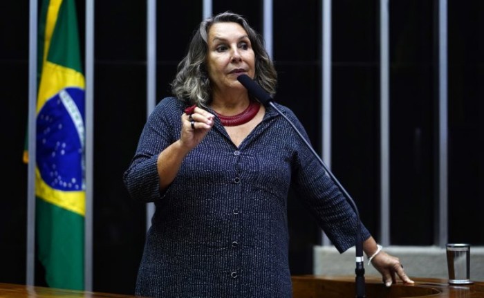Erika Kokay, autora do requerimento - (Foto: Pablo Valadares/Câmara dos Deputados)