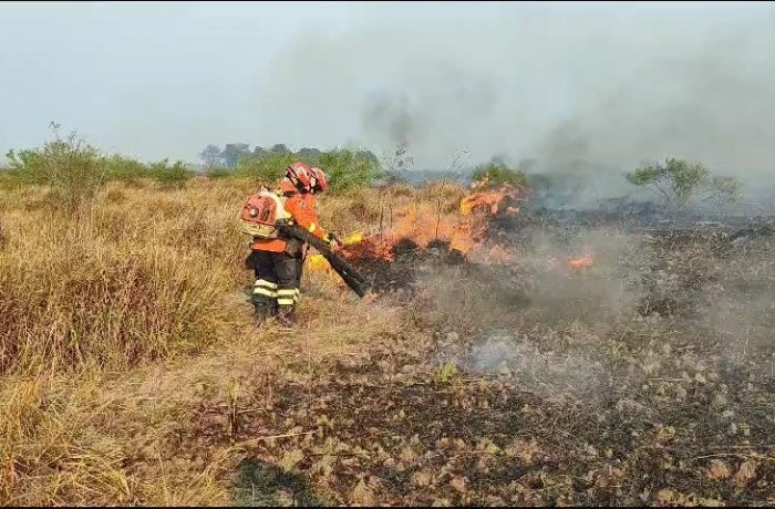 Bombeiros de MS atuam em três incêndios florestais no Pantanal