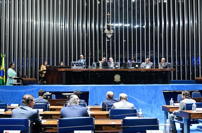 Serviço civil voluntário está na pauta do Plenário