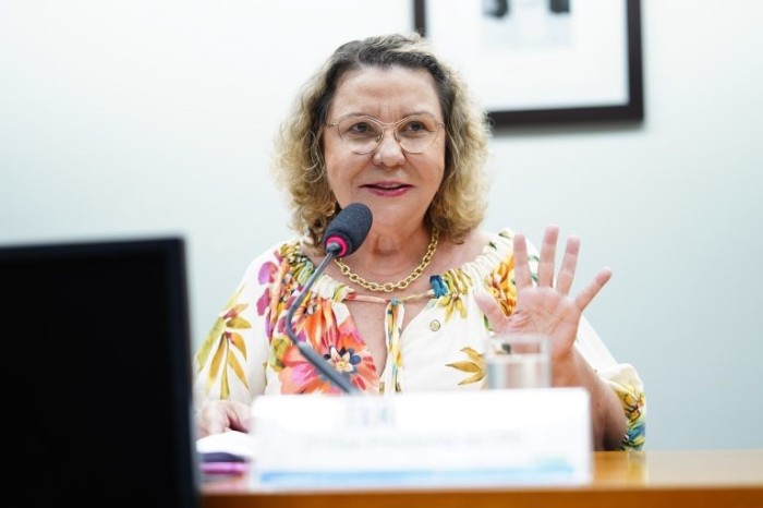 Tereza Nelma: parecer sobre o projeto ainda pode ser alterado - (Foto: Pablo Valadares/Câmara dos Deputados)