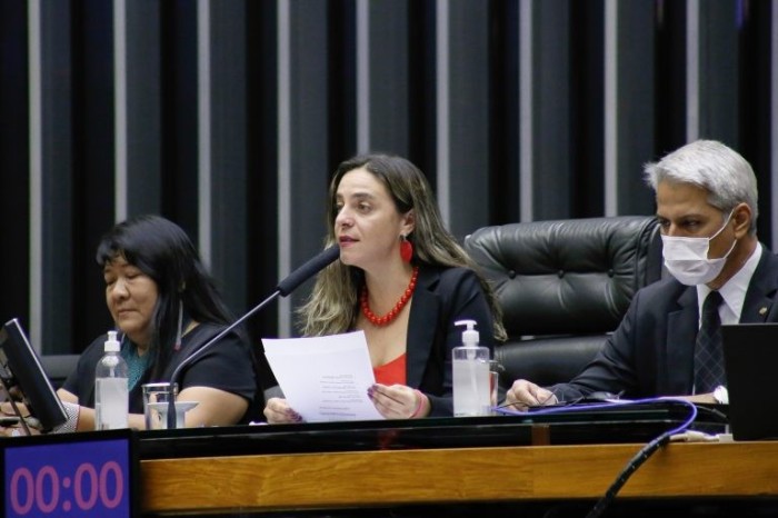 Deputados lançam manifesto contra votação de propostas que prejudicam o meio ambiente