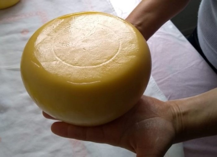 Audiência pública debate a criação do Dia do Queijo Artesanal