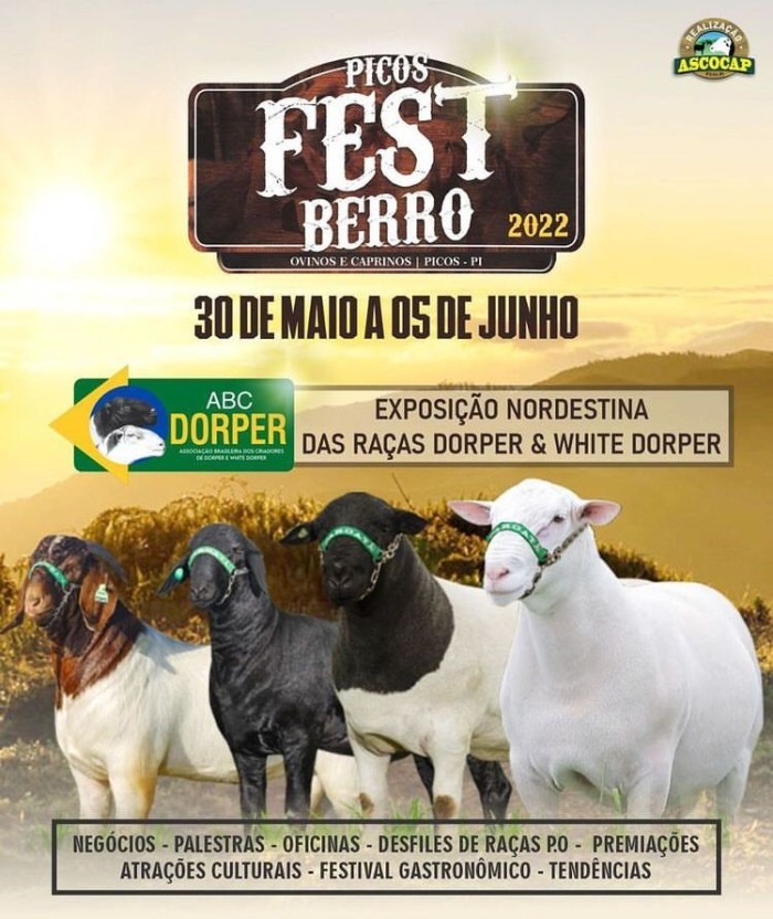 Foto: Reprodução/Secom Piauí