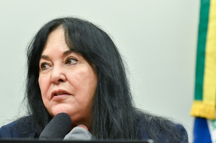 Rose de Freitas durante reunião da Comissão Mista de Orçamento (CMO) nesta segunda-feira - Geraldo Magela/Agência Senado