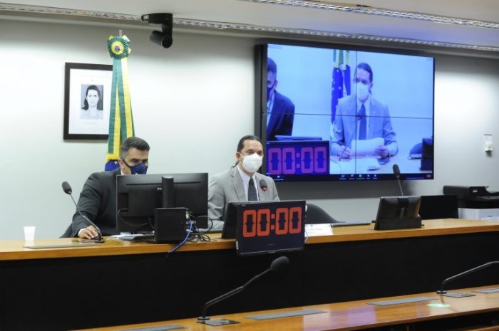 Verônica Savatin (no telão): Lei dos 60 dias não está sendo cumprida - (Foto: Gustavo Sales/Câmara dos Deputados)