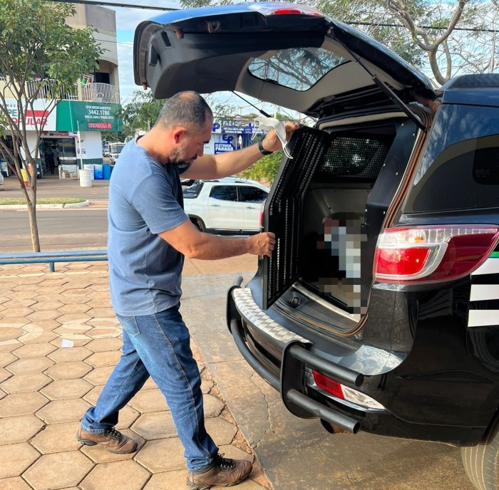 Foto: Reprodução/Polícia Civil - MS