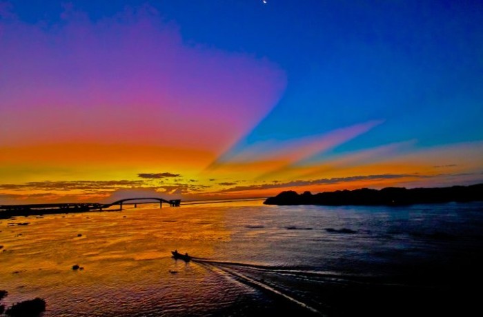 Lei do Pantanal é aguardada com expectativa e será elaborada com participação social