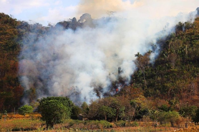 Governo sanciona lei que moderniza julgamentos na área ambiental