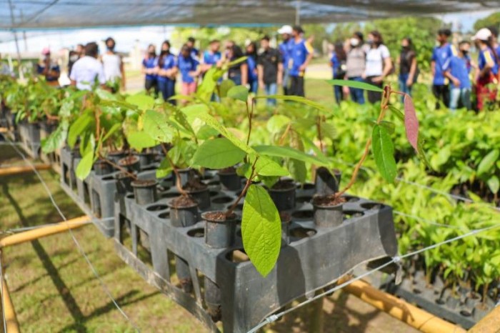 Semana do Meio Ambiente 2022 leva estudantes da rede pública a Unidades de Conservação 