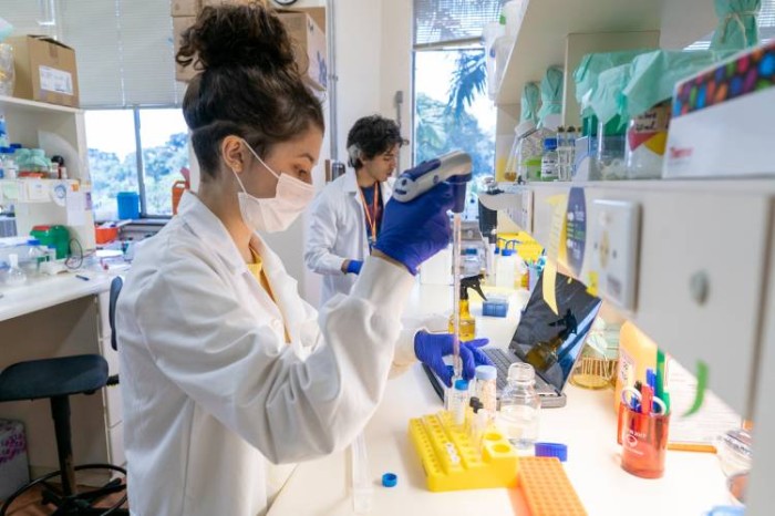 Butantan identifica moléculas que podem ser usadas em teste para detectar zika